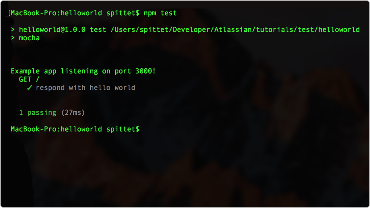 NPM test、成功